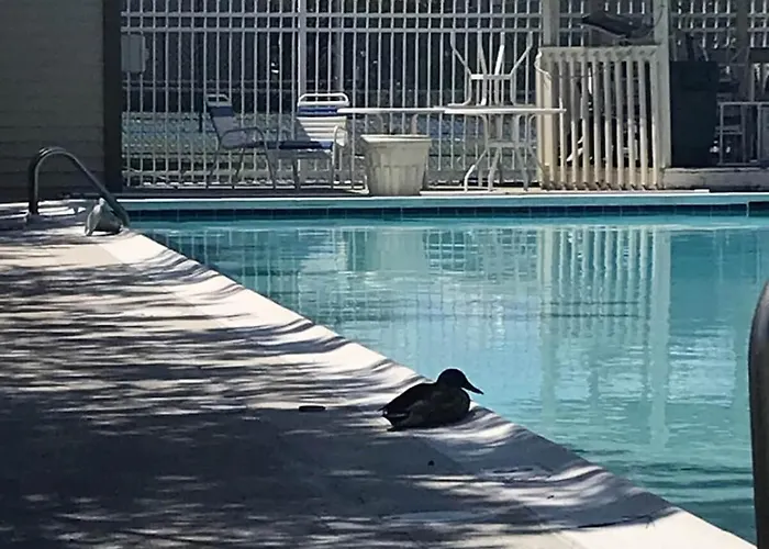 Walk To Beach, Indoor/outdoor Pools, Steps To Grocery * Ocean City